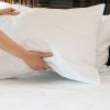 Luxurious Viscose from 100% Bamboo 2-Piece Pillowcase Set , Oeko-TEX Certified, King - White