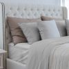 Luxurious Viscose from 100% Bamboo 2-Piece Pillowcase Set , Oeko-TEX Certified, Queen - Light Gray